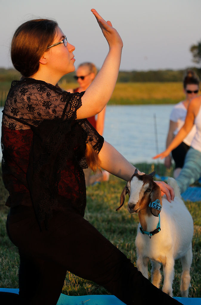 Yoga instructor Sarah Judd pets Lucinda the goat while guiding participants to the next yoga pose